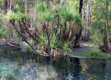 Avustralya Kaplıcalar