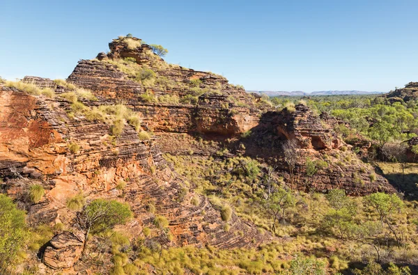 Pequeño Bungles Kunnanurra — Foto de Stock