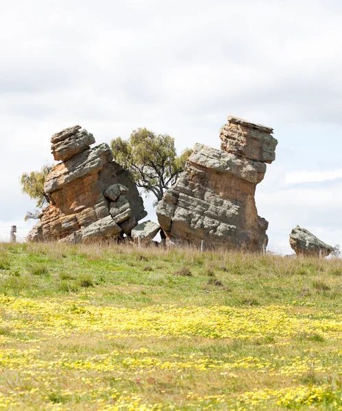 Unsual split rock — Stock Photo, Image