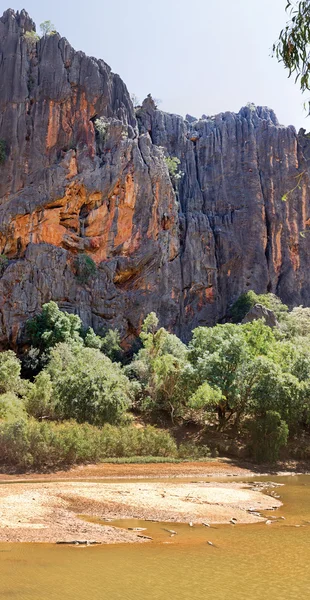 Crocodiles at Windjana Gorge Western Australia — Stock Photo, Image