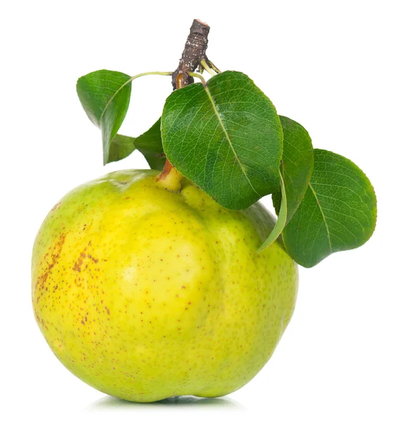 Yellow ripe pear — Stock Photo, Image