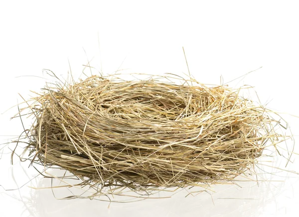 Empty birds nest Stock Picture