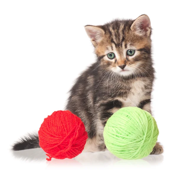 Cute little kitten — Stock Photo, Image