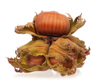 Lezzetli olgun kajuya