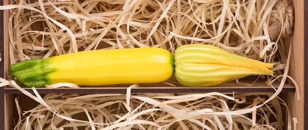 Bright raw vegetable — Stock Photo, Image