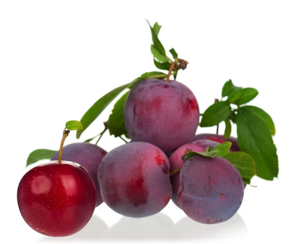 Fresh tasty plums — Stock Photo, Image