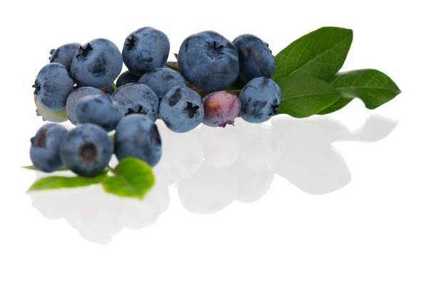 Fresh ripe blueberries — Stock Photo, Image