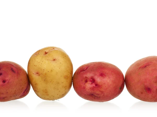Surowe ziemniaki nowe — Zdjęcie stockowe