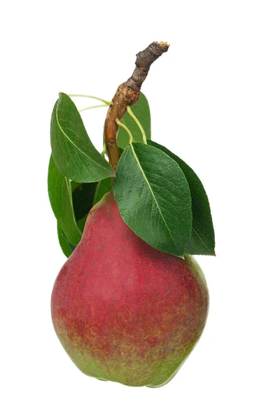 Tasty ripe pear — Stock Photo, Image