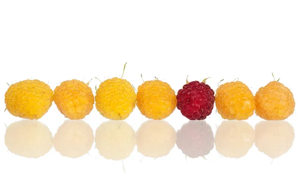 成熟的黄莓 — 图库照片