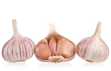 Çiğ sarımsak ampuller