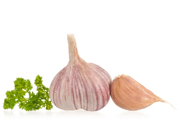 Fresh garlic bulb — Stock Photo, Image