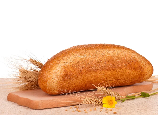 Bread with caraway seeds — Stock Photo, Image