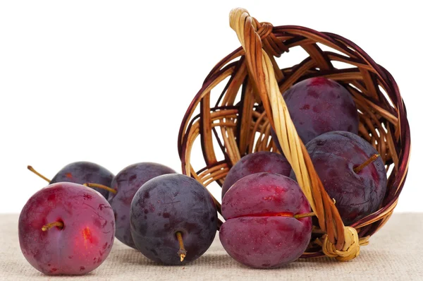 Fresh red plums — Stock Photo, Image