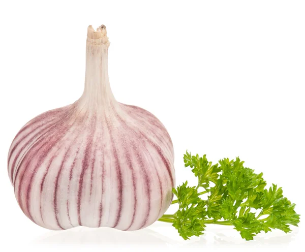 Fresh garlic bulb — Stock Photo, Image