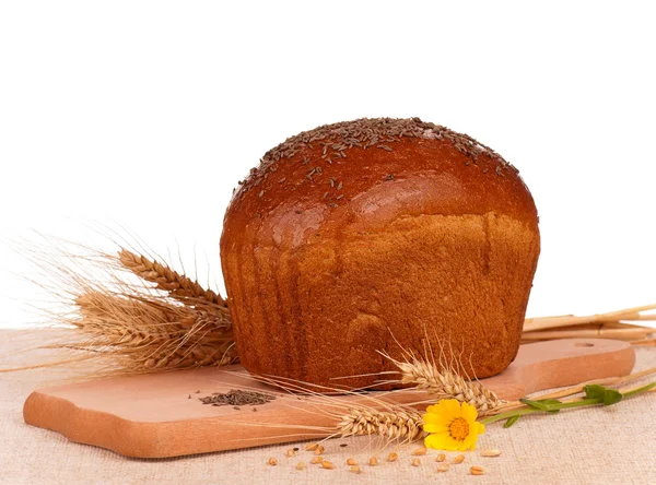 Rye bread — Stock Photo, Image