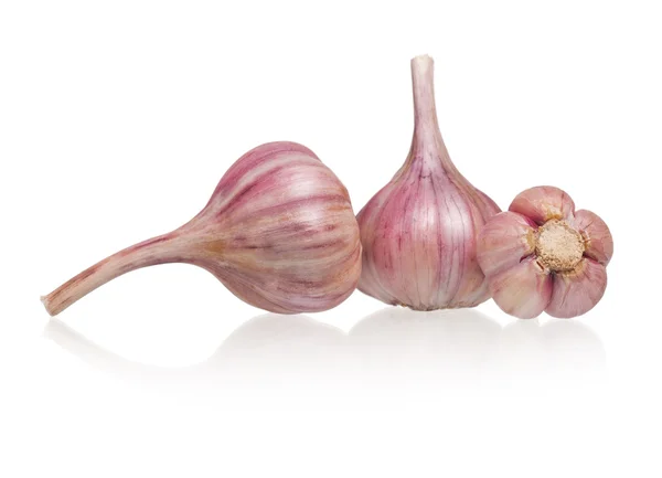 Garlic bulbs — Stock Photo, Image