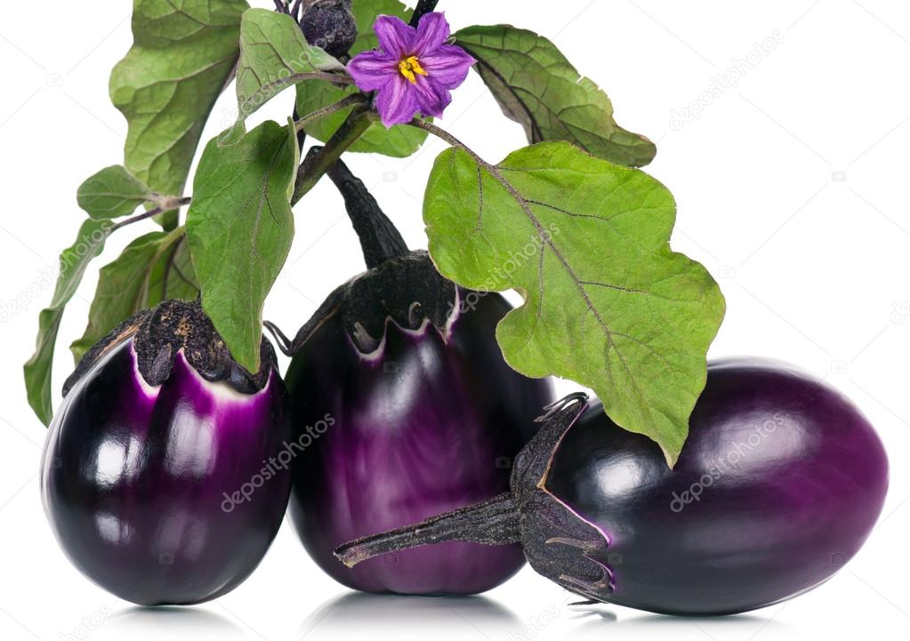 Raw aubergines — Stock Photo © 2002Lubava1981 55375151