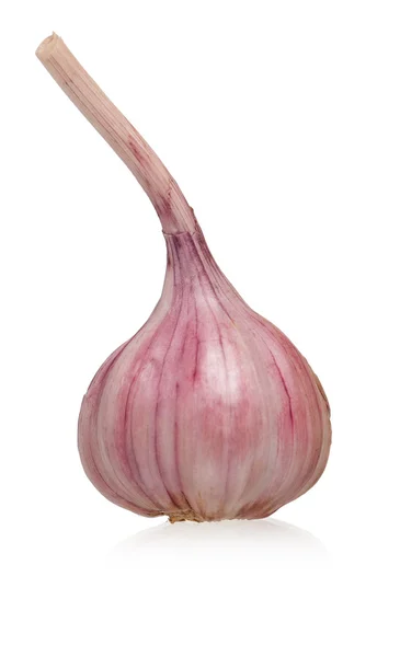 Garlic bulb — Stock Photo, Image