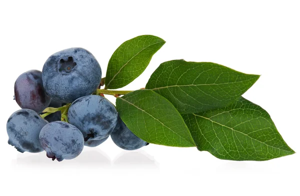 Ripe blueberries — Stock Photo, Image