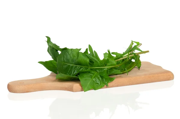 Dandelions leaves — Stock Photo, Image