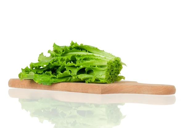 Lettuce leaves — Stock Photo, Image