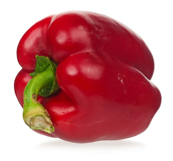 Red pepper — Stock Photo, Image