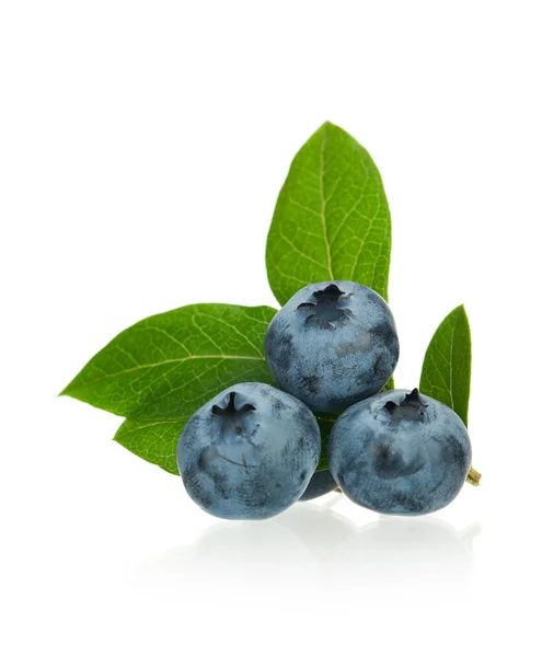 Ripe blueberry — Stock Photo, Image