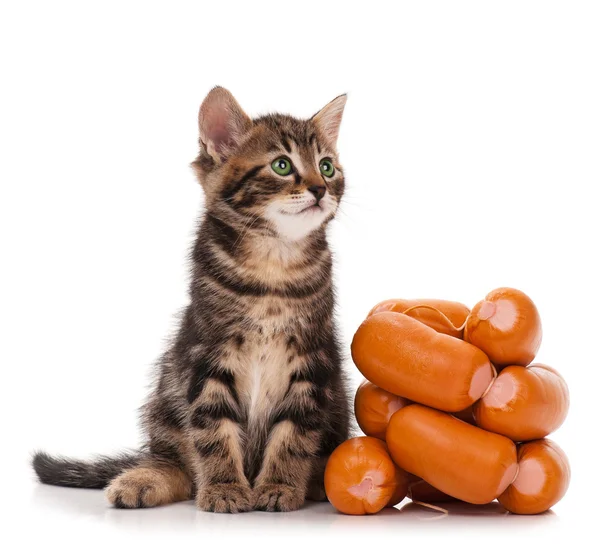 Gatinho bonito — Fotografia de Stock