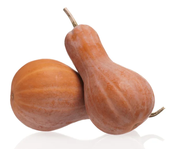 Orange pumpkins — Stock Photo, Image