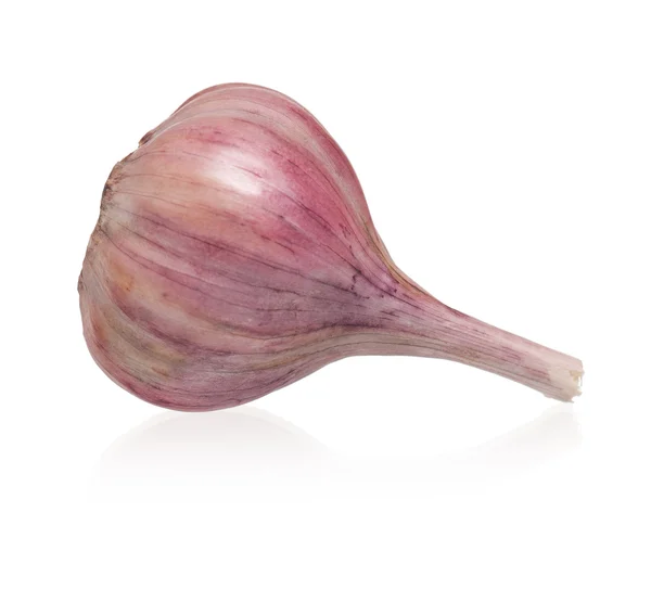 Garlic bulb — Stock Photo, Image