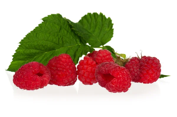 Reife Himbeeren — Stockfoto