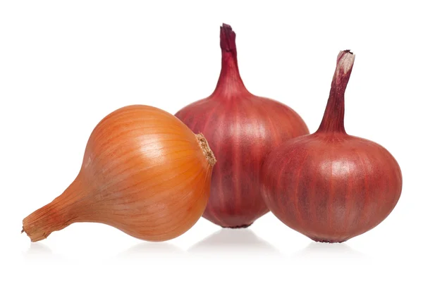 Raw onion — Stock Photo, Image