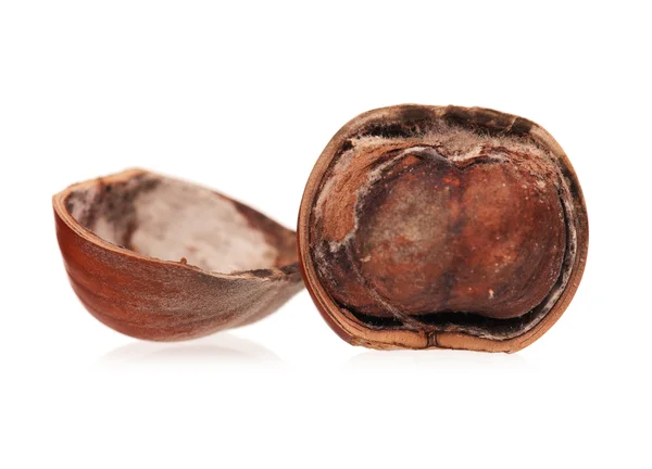 Shnilé ořech — Stock fotografie