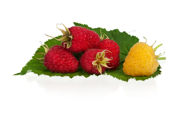 Ripe raspberries — Stock Photo, Image