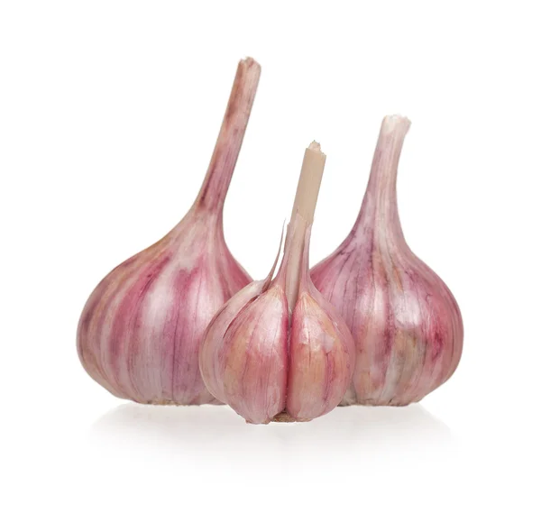 Garlic bulbs — Stock Photo, Image