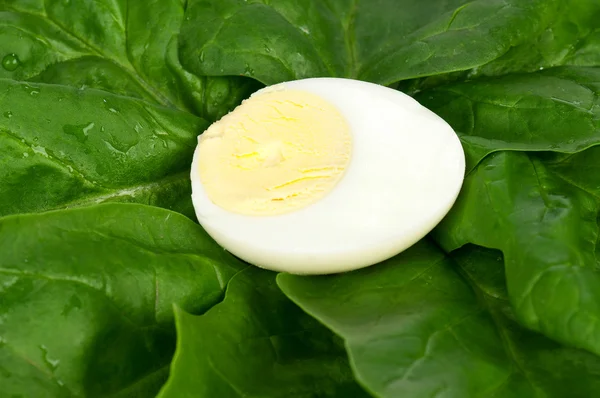 Half of egg — Stock Photo, Image