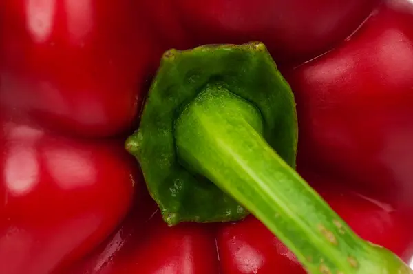 Red pepper — Stock Photo, Image