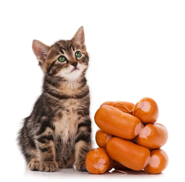 Кошка и сосиски картинки, стоковые фото Кошка и сосиски | Depositphotos