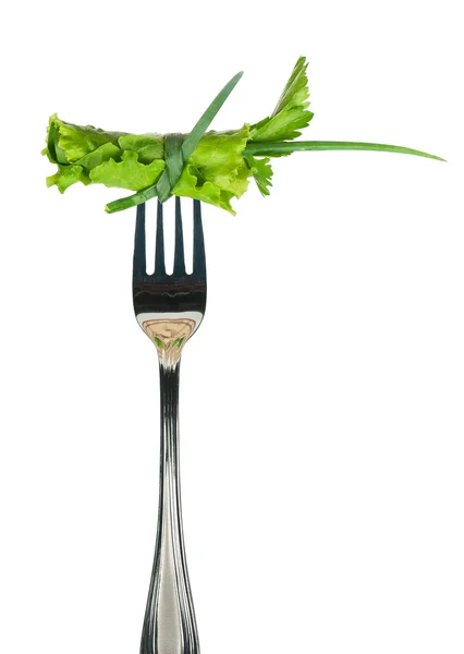 Lettuce leaves — Stock Photo, Image