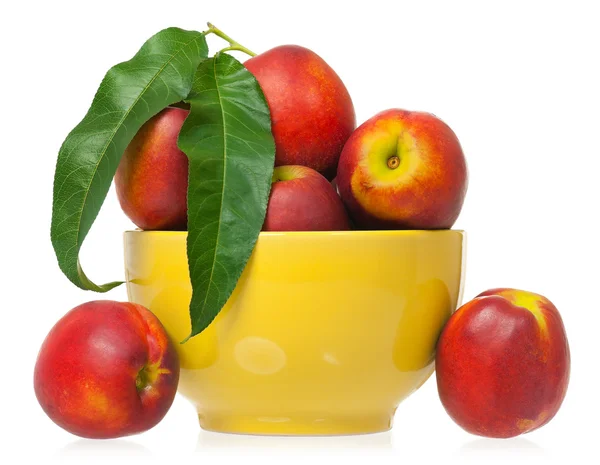 Ripe nectarines — Stock Photo, Image