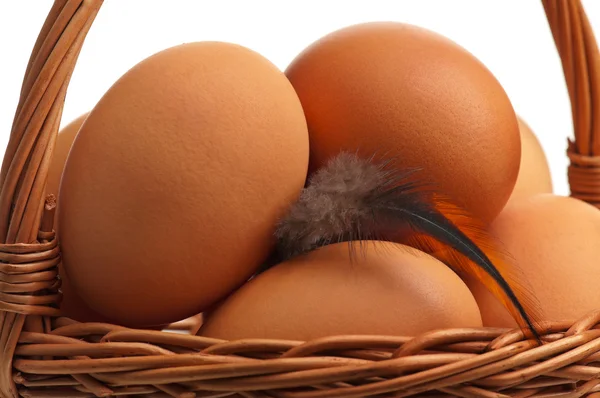 Желтые яйца — стоковое фото