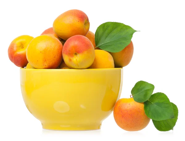 Ripe apricots — Stock Photo, Image