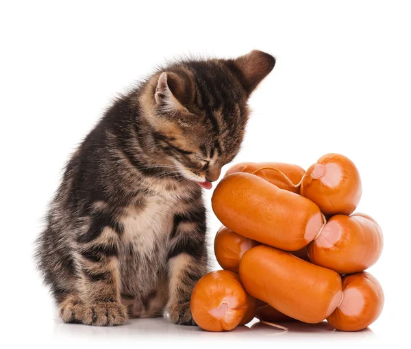 Gatinho bonito — Fotografia de Stock