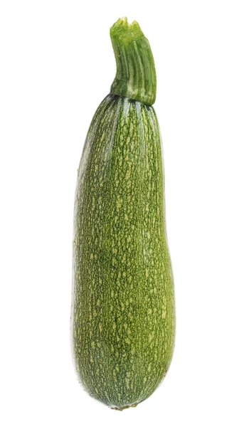 Vegetabiliska märg — Stockfoto