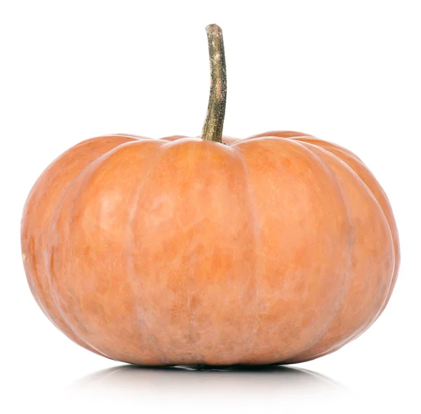 Round pumpkin — Stock Photo, Image