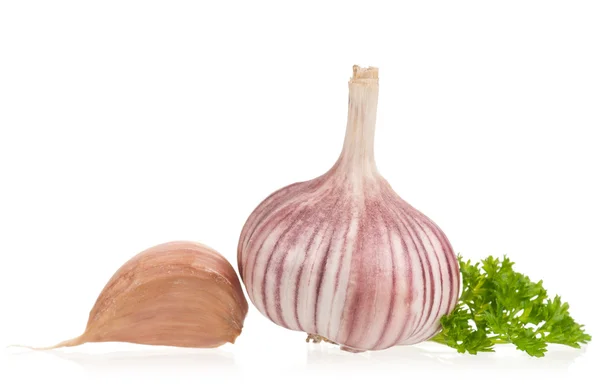 Fresh garlic bulb — Stock Photo, Image