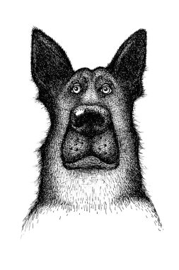 Bir köpek - çoban köpeği bir portre çizim eller