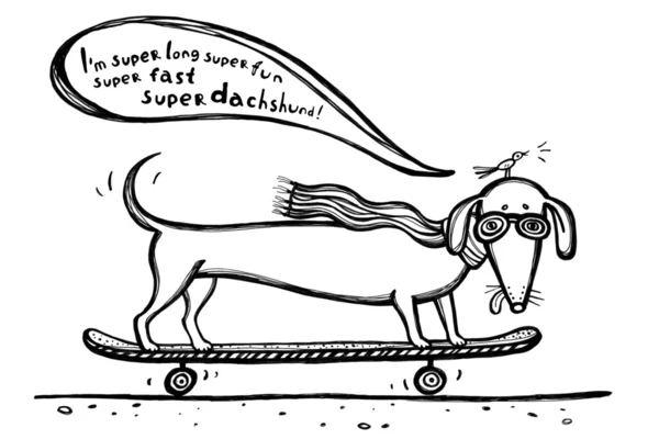 Bir köpek bir portre çizim eller