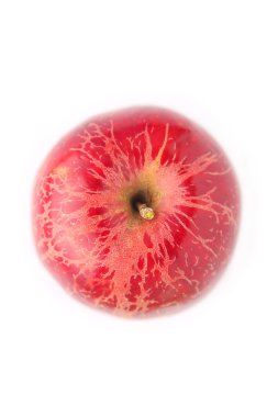 Beyaz arkaplanda kırmızı elma